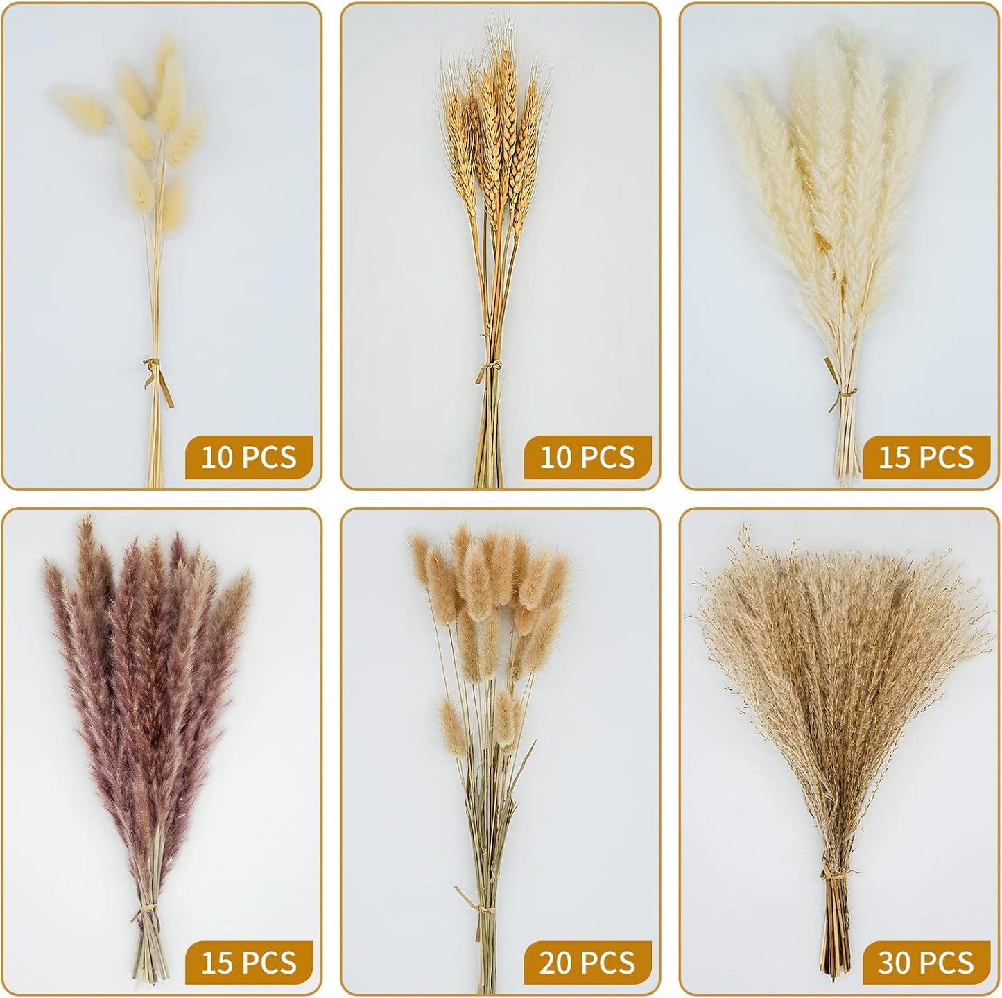 CRFNI 100 Pcs Pampas Grass - Natural Pampas & Reed Grass & Bunny Tails & Dried Wheat for Dried Flowers Arrangements Boho Wedding Home Decor