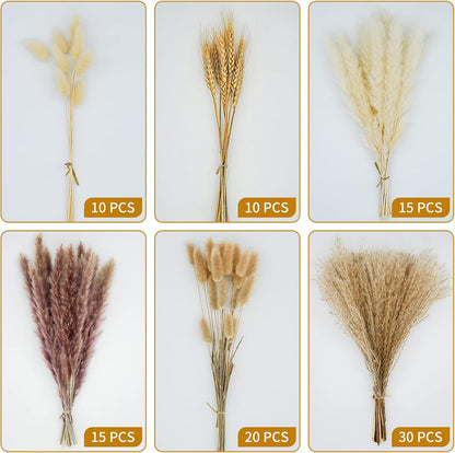 CRFNI 100 Pcs Pampas Grass - Natural Pampas & Reed Grass & Bunny Tails & Dried Wheat for Dried Flowers Arrangements Boho Wedding Home Decor