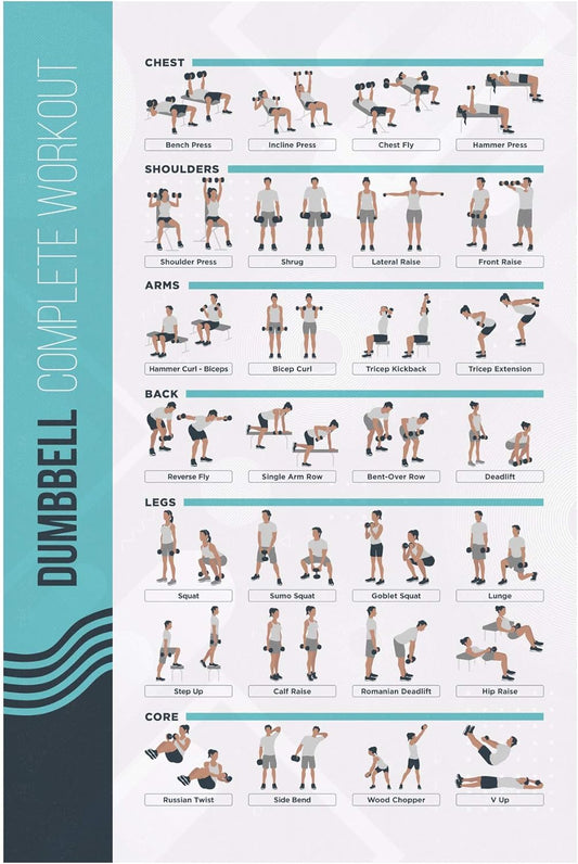 FitMate Dumbbell Workout Exercise Poster - Workout Routine with Free Weights, Home Gym Decor, Room Guide (16.5 x 25 Inch)