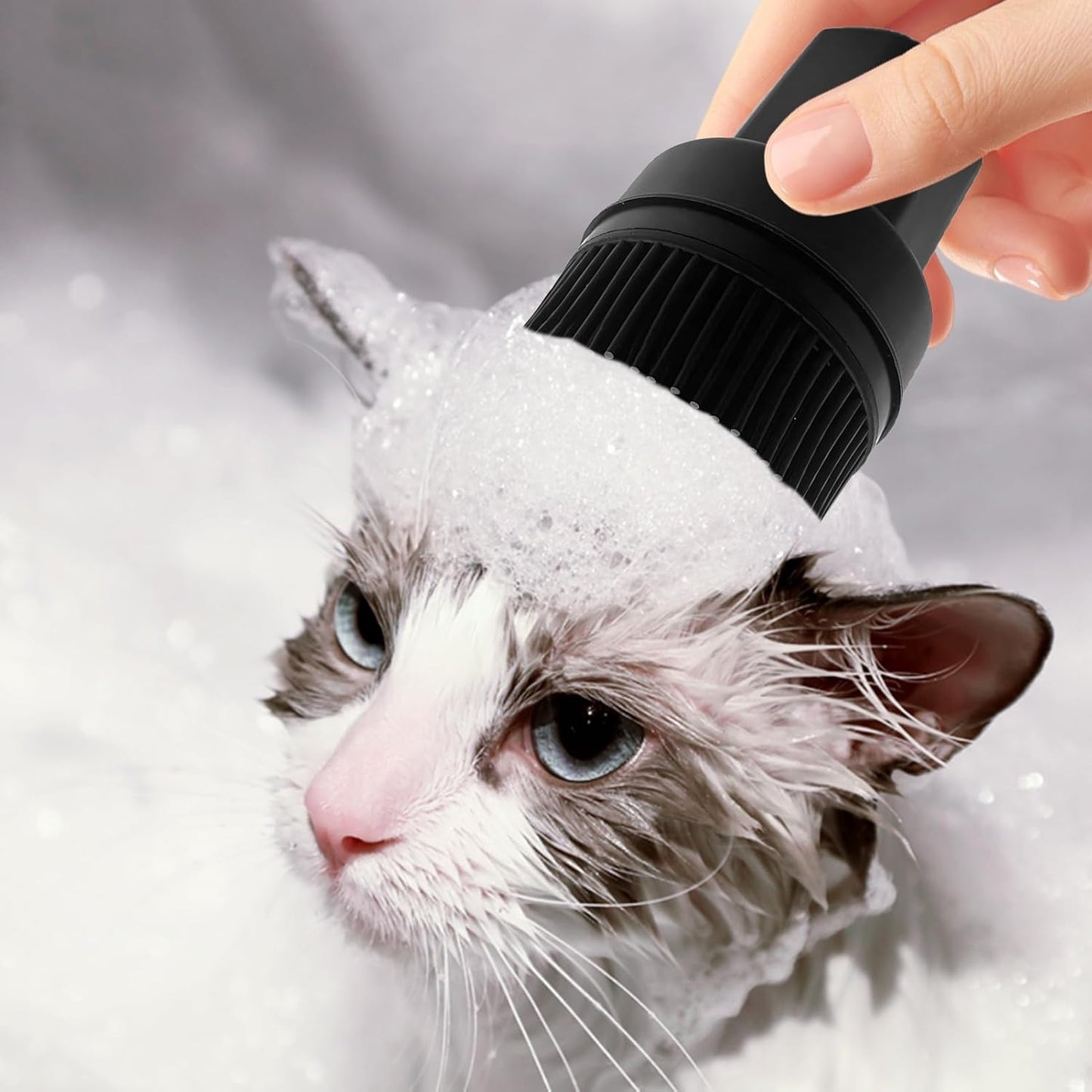 Pet Hair Removal Brush, Brush Dog Grooming Shedding, Gentle Ergonomic Portable Cleaning Kit, 3.22 x 5.59 Inch Essential Tool for Home Indoor Puppy Kitten Hygienic Bath and Routine