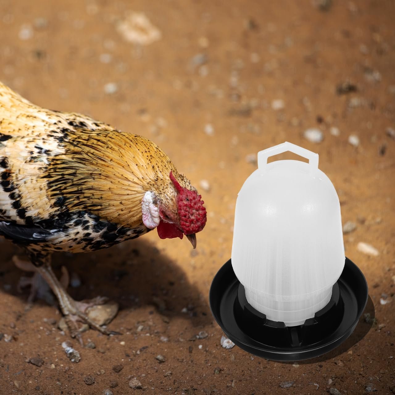 BUTIFULSIC Chicken Feeder Automatic Chicken Waterer Water Glasses Chicken Coop Feeder Pigeon Water Feeding Cups Chicken Trough
