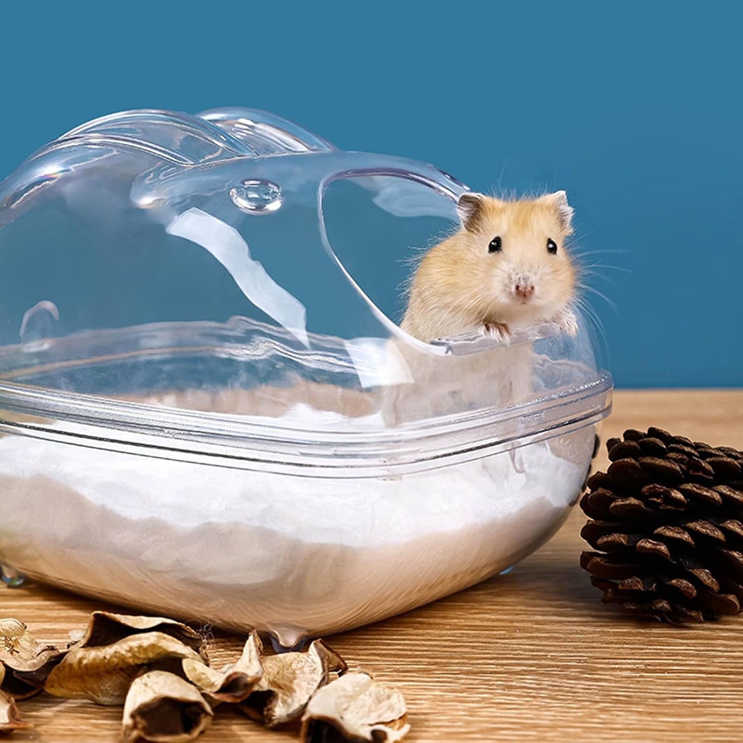 Criceto Sand Bath Container, design trasparente, 6,3 x 4,33 in Clear Cinchilla Bathtub, Autentico Grooming, Easy Clean Shell for Small Animal, Gabbia Accessory