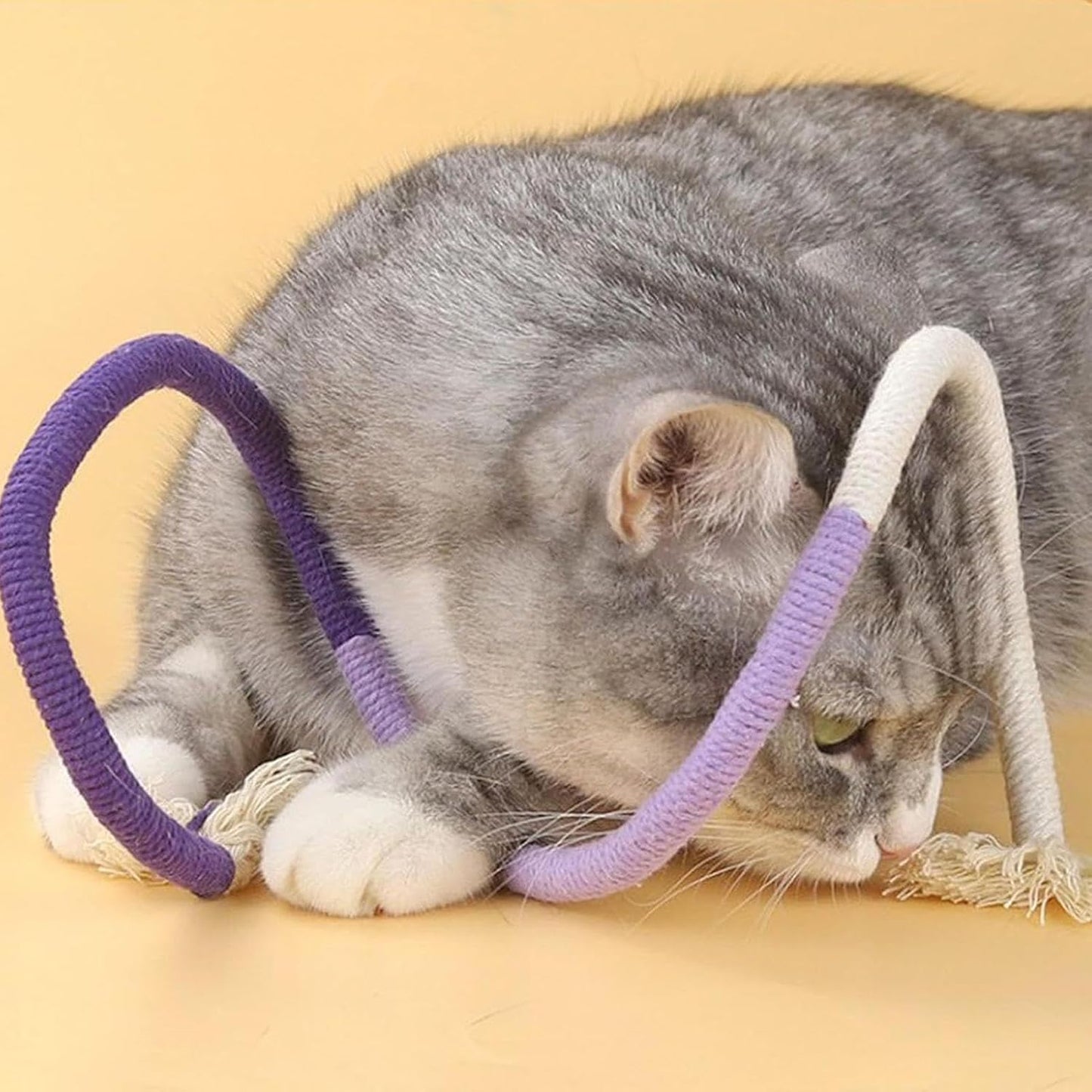 Generico Cat Chew Rope Toy, Kitten Teeth Cleaning Toy, 27.6 Inches Portable and Lightweight, 3 Interactive Bite Supplies for Small Medium Pets, Health Aid, Cats, Multicolor