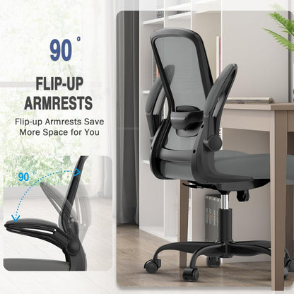 Office Chair, Ergonomic Desk Chair with Adjustable Lumbar Support & Seat Height, High Back Mesh Computer Chair with Flip-up Armrests-BIFMA Passed Task Chairs for Home Office (Modern, Graphite)