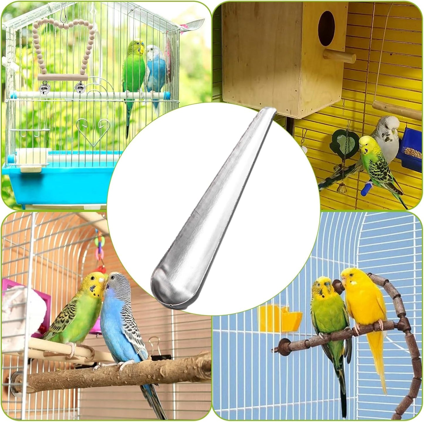Bird Food Scoop | with Long Handle Hand Food Adding Feeding Tableware Spoon,Bird Parrot Feeder Spoon Stainless, Parrot Feeding Scoops, Birds Feeding and Watering Supplies Pochy