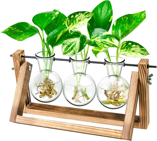 Ivolador Desktop Glass Plants Terrariums Bulb Vase with Retro Solid Wooden Stand and Metal Swivel Holder for Hydroponics Plants Home Garden Wedding Decor Indoor Outdoor (3 Bulb Vase)