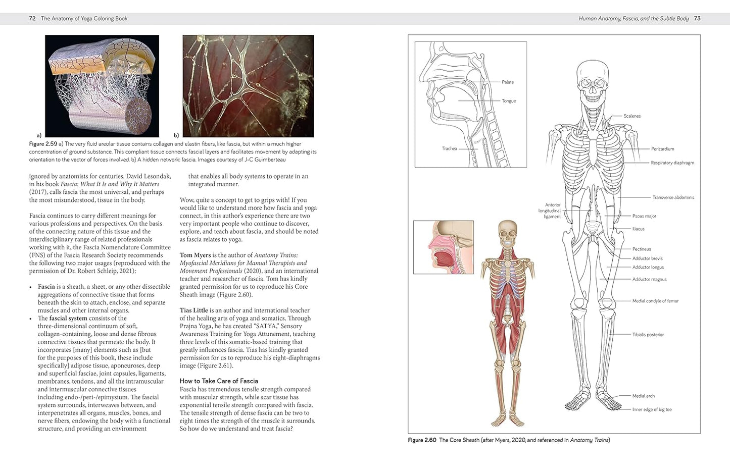 The Anatomy of Yoga Coloring Book: Learn the Form and Biomechanics of More than 50 Asanas