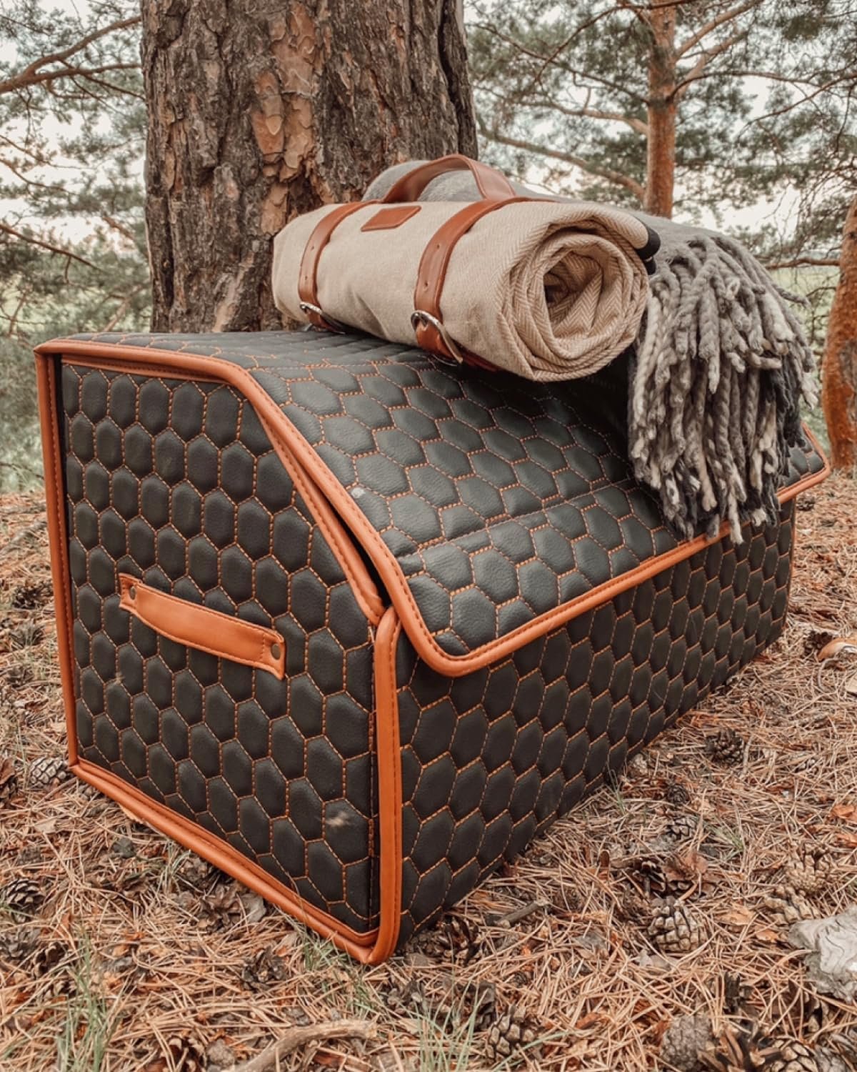 Owleys Foldable Trunk Organizer For Car - Trunk Organizers Car Storage - Collapsible Auto Trunk Organizer With Lid - Small Cargo Organizer - Trunk Organization (17.7 inch, Hexy)