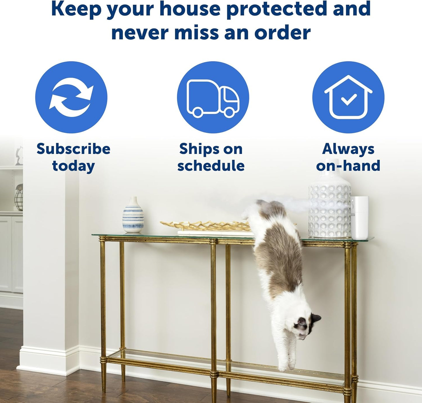PetSafe SSSCAT Refill Can 115 ml
