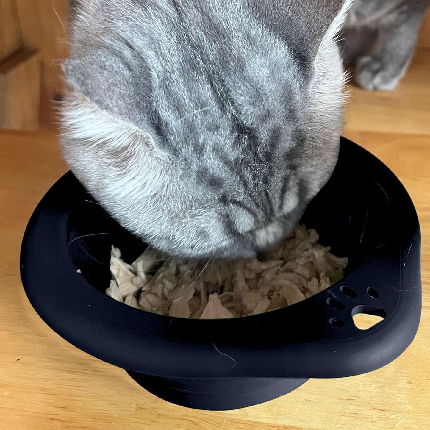 Tyinerc Ciotola per cani pieghevole, ciotola da viaggio per cani | Silicone Travel Dog Water Bowl - 300 ml portatile per animali domestici Dishage irrigazione contenitore per alimenti per animali