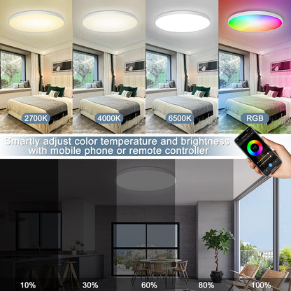 Eregou Dimmable LED Ceiling Light, 24W 2400LM Smart RGB LED Ceiling Light Alexa, Living Room Lamp IP44 Bedroom Lamp, Compatible with Alexa APP Google Assistant, 2700K-6500K