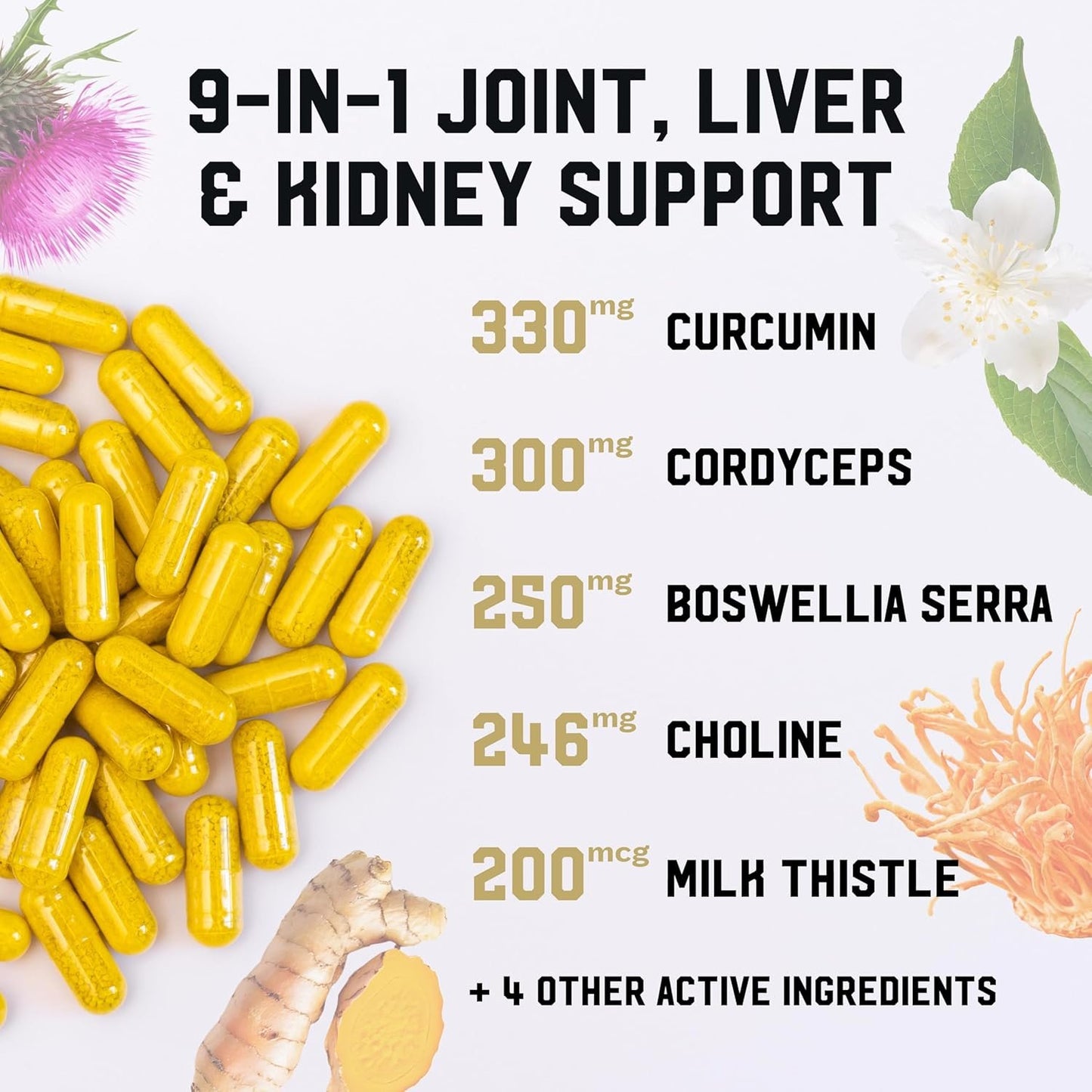 IRON KINGDOM JLK Joint Liver Kidney Premium Health Complex Milk Thistle, Choline Boswellia, Cordyceps & Turmeric Supplement for Women & Men - 120 Capsules