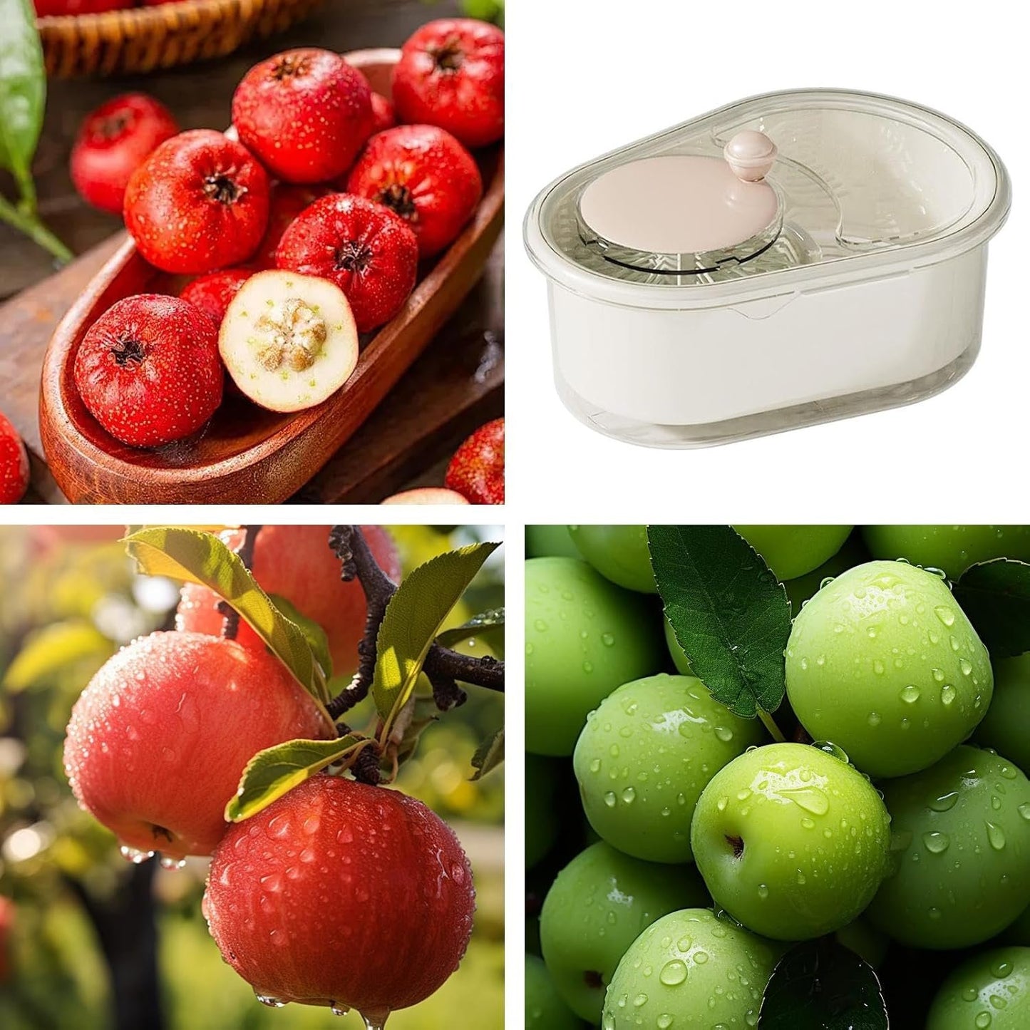 Fruit Washer - Salad Spinner | Kitchen Gadgets | Kitchen Food Prep Tool | Lettuce Spinner & Fruit Veggie Wash | Labour-Saving Gadgets for Strawberry, Lettuce, Blueberries, Cherry Tomato