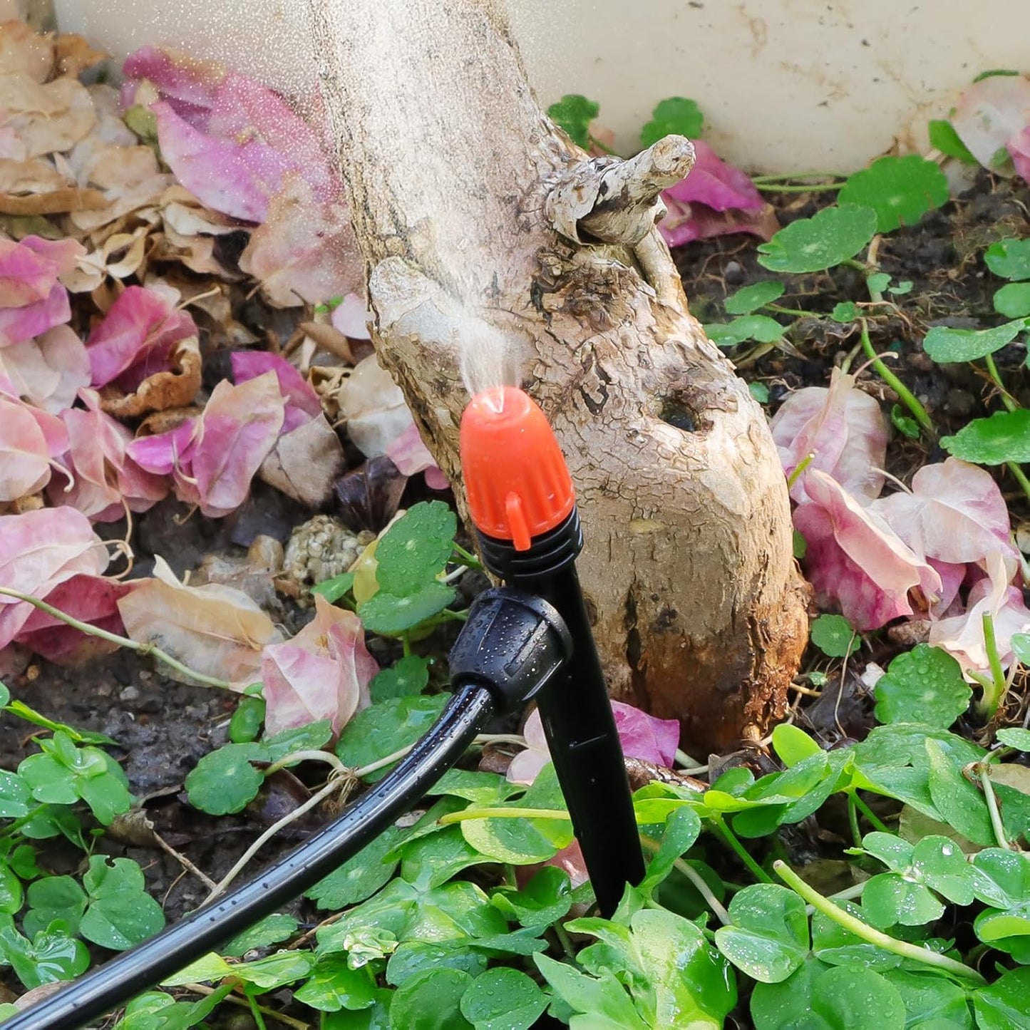 50 pezzi 1/4" Gocciolatori Irrigazione Goccia, Kalolary Anti Goccia Bloccato Parti Spruzzatore Irrigazione Goccia Tubi 4/7 mm Gocciolatori Nebulizzazione Micro Spray Regolabili con Blocco (Arancione)