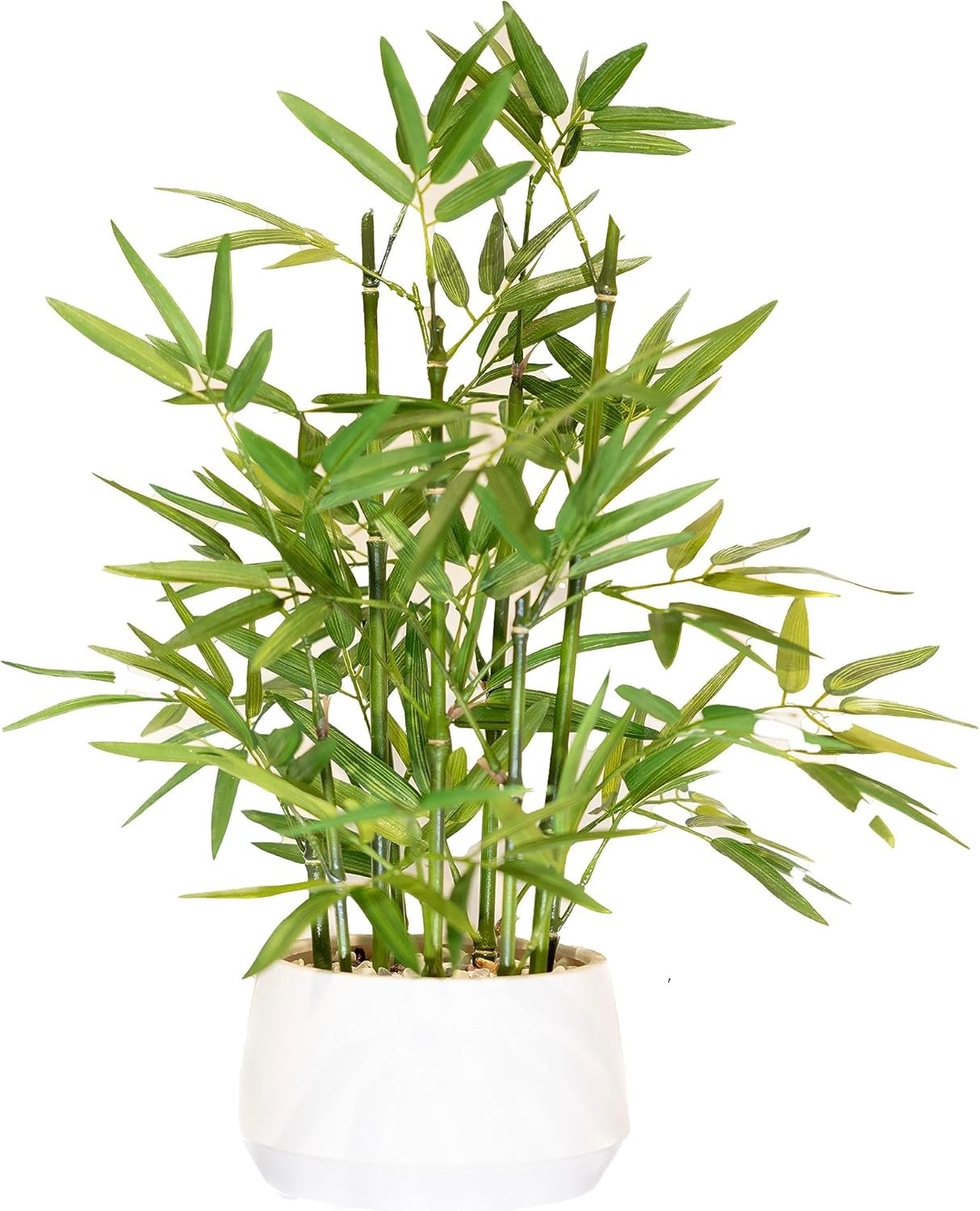 365 Blooming Decor 18 inch Tall White Potted Faux Bamboo Plant- Luxury Artificial Bamboo Tree in White Pot for Home, Office, Kitchen, Indoor Decor, Money Tree, Lucky Bamboo Tree. (Canadian Owned!)
