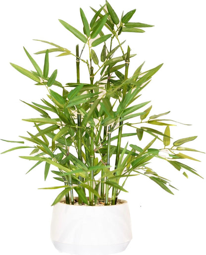 365 Blooming Decor 18 inch Tall White Potted Faux Bamboo Plant- Luxury Artificial Bamboo Tree in White Pot for Home, Office, Kitchen, Indoor Decor, Money Tree, Lucky Bamboo Tree. (Canadian Owned!)