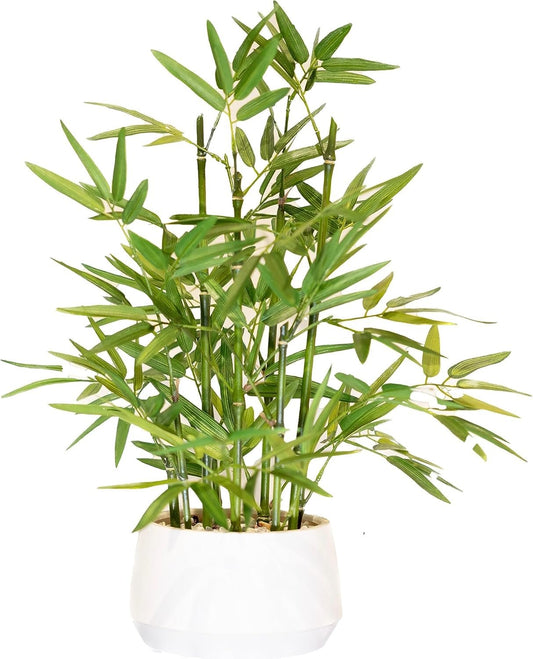 365 Blooming Decor 18 inch Tall White Potted Faux Bamboo Plant- Luxury Artificial Bamboo Tree in White Pot for Home, Office, Kitchen, Indoor Decor, Money Tree, Lucky Bamboo Tree. (Canadian Owned!)