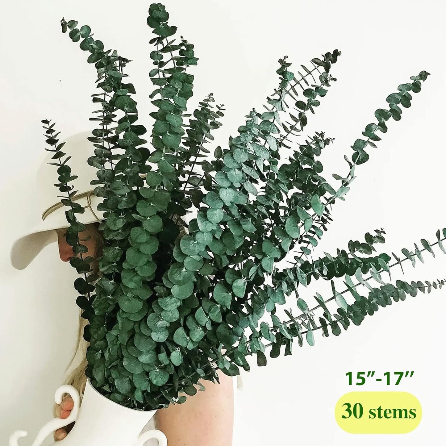 Large Package Dried Preserved Eucalyptus Stems Shower Bundle, 30 Pcs 17" 100% Natural Fresh Eucalyptus Plant, Real Eucalyptus Leaves Branches, Gift for Mom, Vase Filler, Flowers Arrangement Home Decor