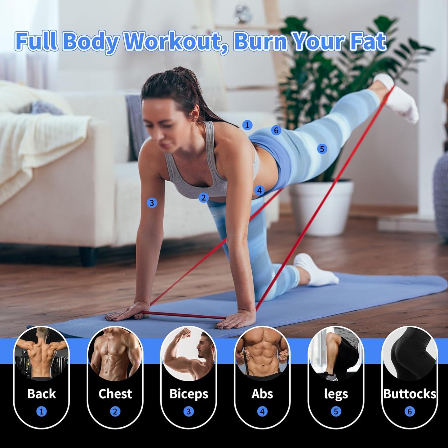 5 Resistance Levels Fitness Bands with Door Anchor and Handles, Gym Bands for Workout Stretching Powerlifting, Elastic Resistance Band for Pull-Up
