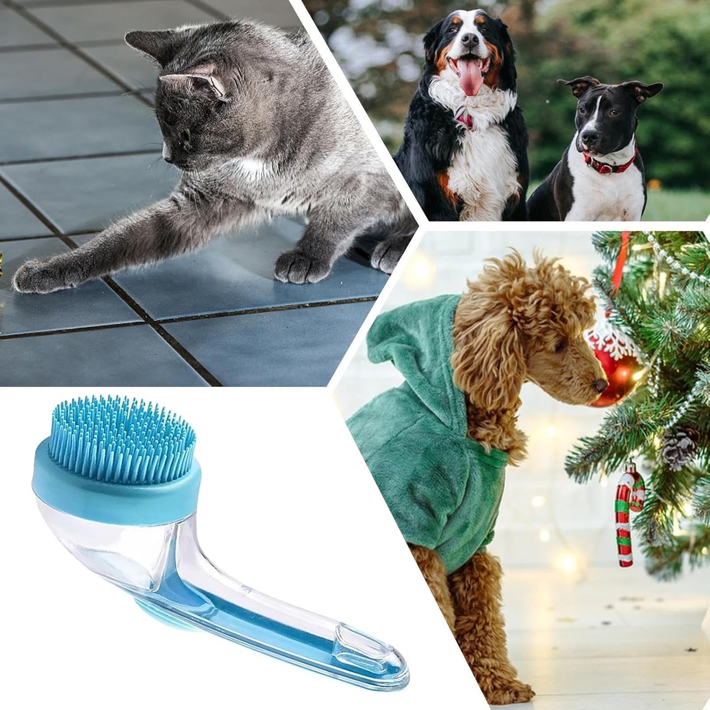 Dog Bath Brush, Pet Toilet Massaggio, Portatile Silicone Bristles, Ergonomic Handle Scrubber, Massaggio profondo di pulizia, per interni, Outdoor Bathing, Shower, Spa, Gatti, Kittens
