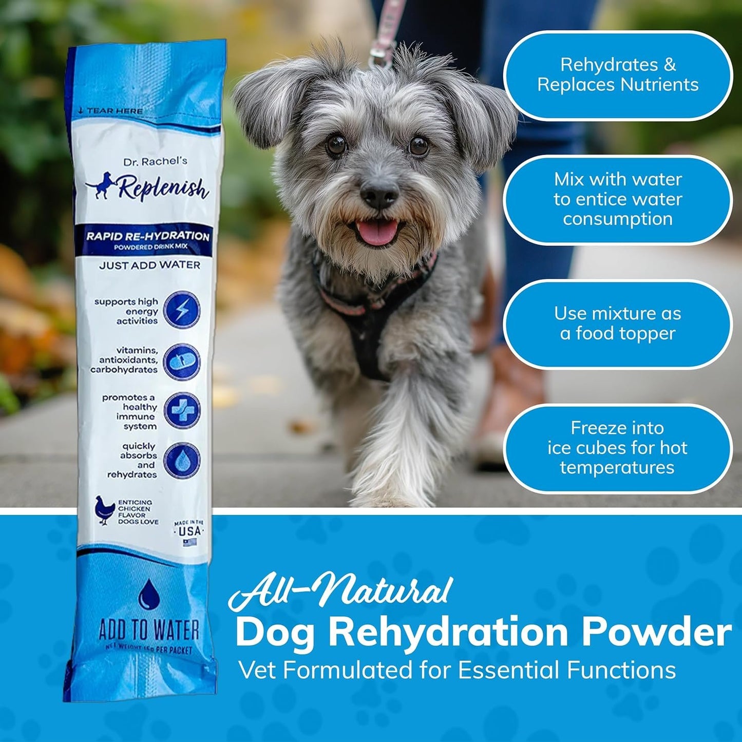 Replenish Dog Water Recovery Supplement, All-Natural Flavoring, 10 Packets per Box