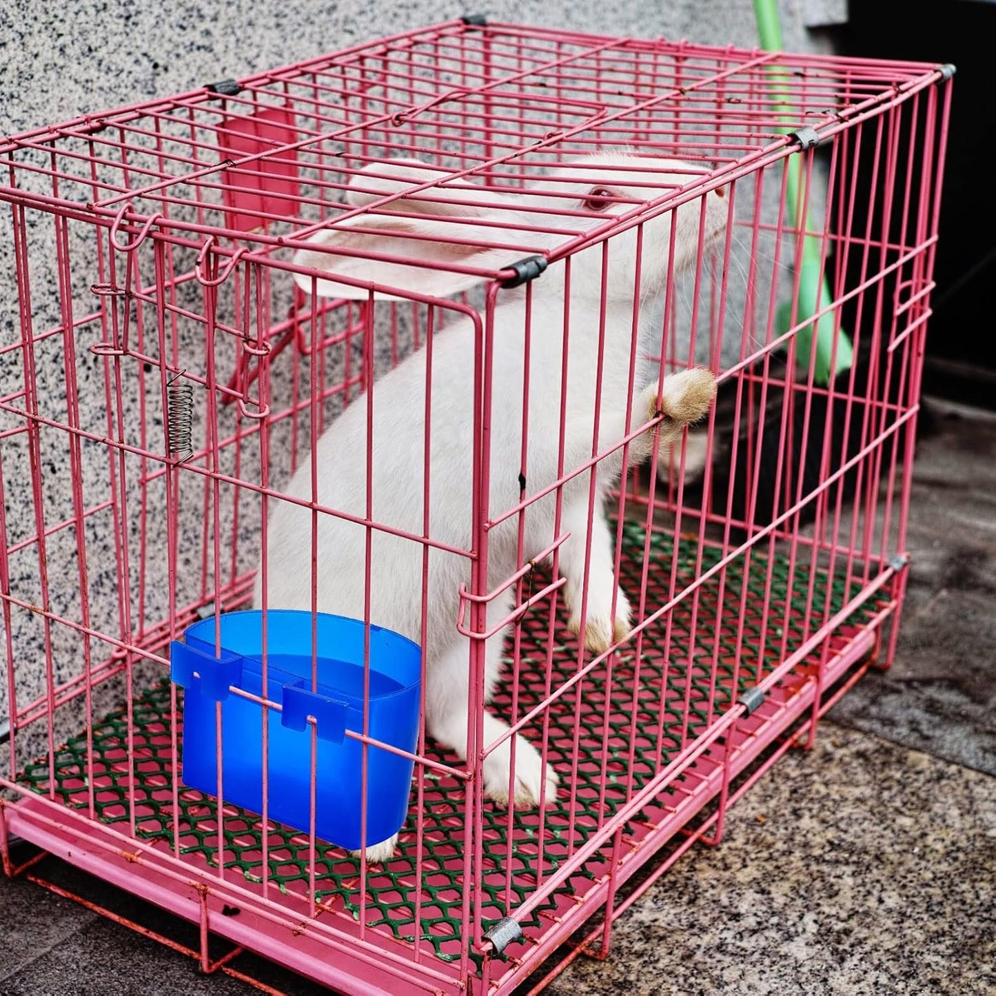 Suclain 30 Pcs Blue Cage Feeders Birds Cage Cups Plastic Hanging Feeding Cups Seed Bowl Chicken Feeding Watering Dish with Hooks for Pet Parrot