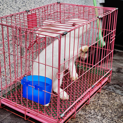 Suclain 30 Pcs Blue Cage Feeders Birds Cage Cups Plastic Hanging Feeding Cups Seed Bowl Chicken Feeding Watering Dish with Hooks for Pet Parrot