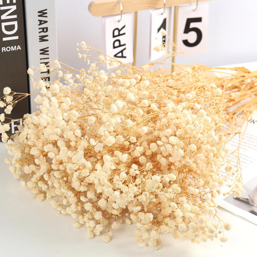 MIHUAGE Dried Baby’s Breath Flowers,17.5" 120g 3000 Ivory100% Natural Beige White Bundles with stem Gypsophila for Home Decorations Wedding DIY Arrangements Table Vase Decor.
