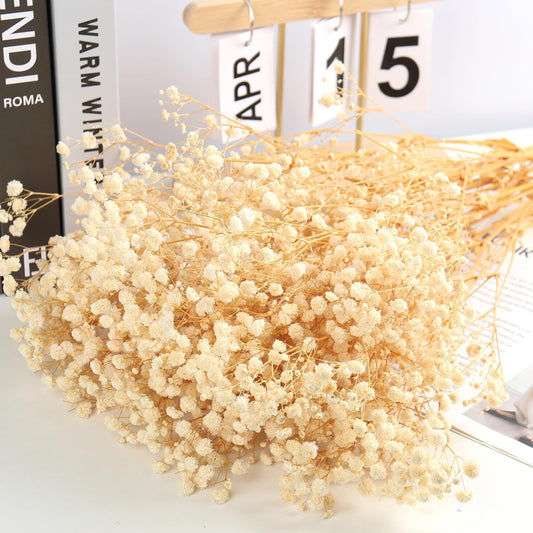MIHUAGE Dried Baby’s Breath Flowers,17.5" 120g 3000 Ivory100% Natural Beige White Bundles with stem Gypsophila for Home Decorations Wedding DIY Arrangements Table Vase Decor.