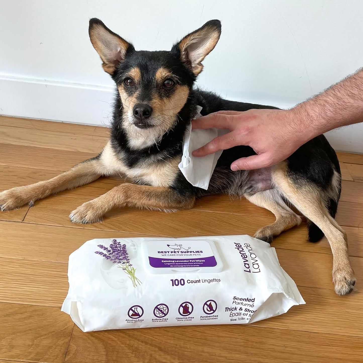 Best Pet Supplies Pet Grooming Wipes For Dogs & Cats, 100 Pack, Plant-Based Deodorizer for Coats & Dry, Itchy, or Sensitive Skin, Clean Ears, Paws, Body, & Butt - Calming Lavender