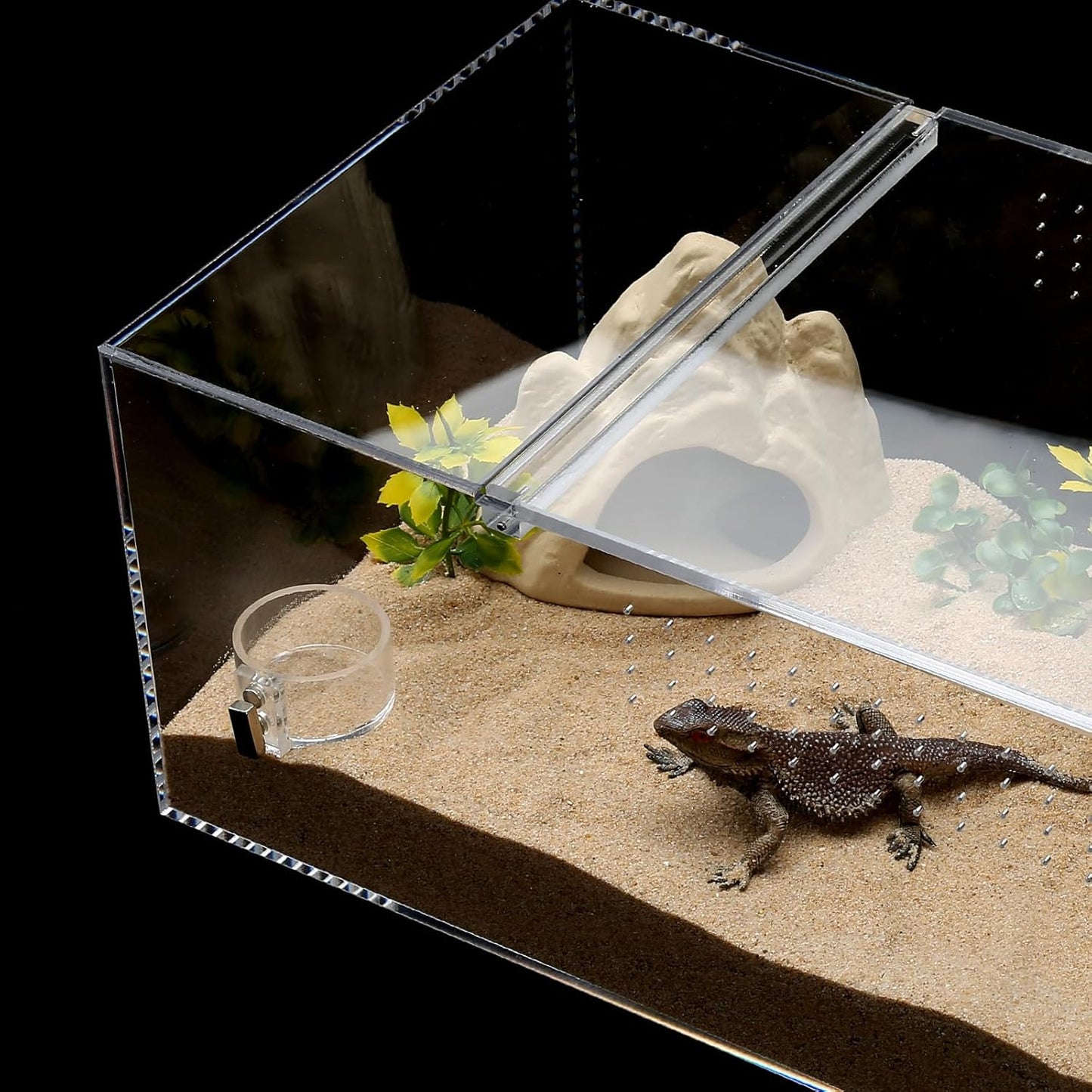 Tarantula Food Bowl Water Dish, Jumping Spider Feeding Dish, Enclosure Accessories, Feeder for Insect, Praying, Mantis Habitat, Butterfly, Bug