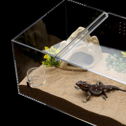 Tarantula Food Bowl Water Dish, Jumping Spider Feeding Dish, Enclosure Accessories, Feeder for Insect, Praying, Mantis Habitat, Butterfly, Bug