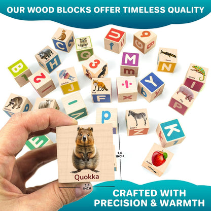 Quokka Montessori Wooden Blocks for Toddlers 1-3 - 35 Realistic ABC Learning Baby Blocks for Kids 3-5 Year Olds - Stacking Alphabet Wood Toys 2-4 yo - Learn Letters Numbers