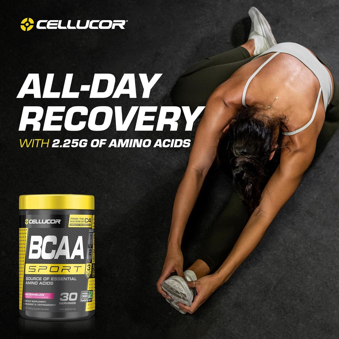Cellucor BCAA Sport, Post-Workout Intra Workout Powder Sports Drink Supplements for Hydration Endurance & Recovery, Watermelon, 30 Servings