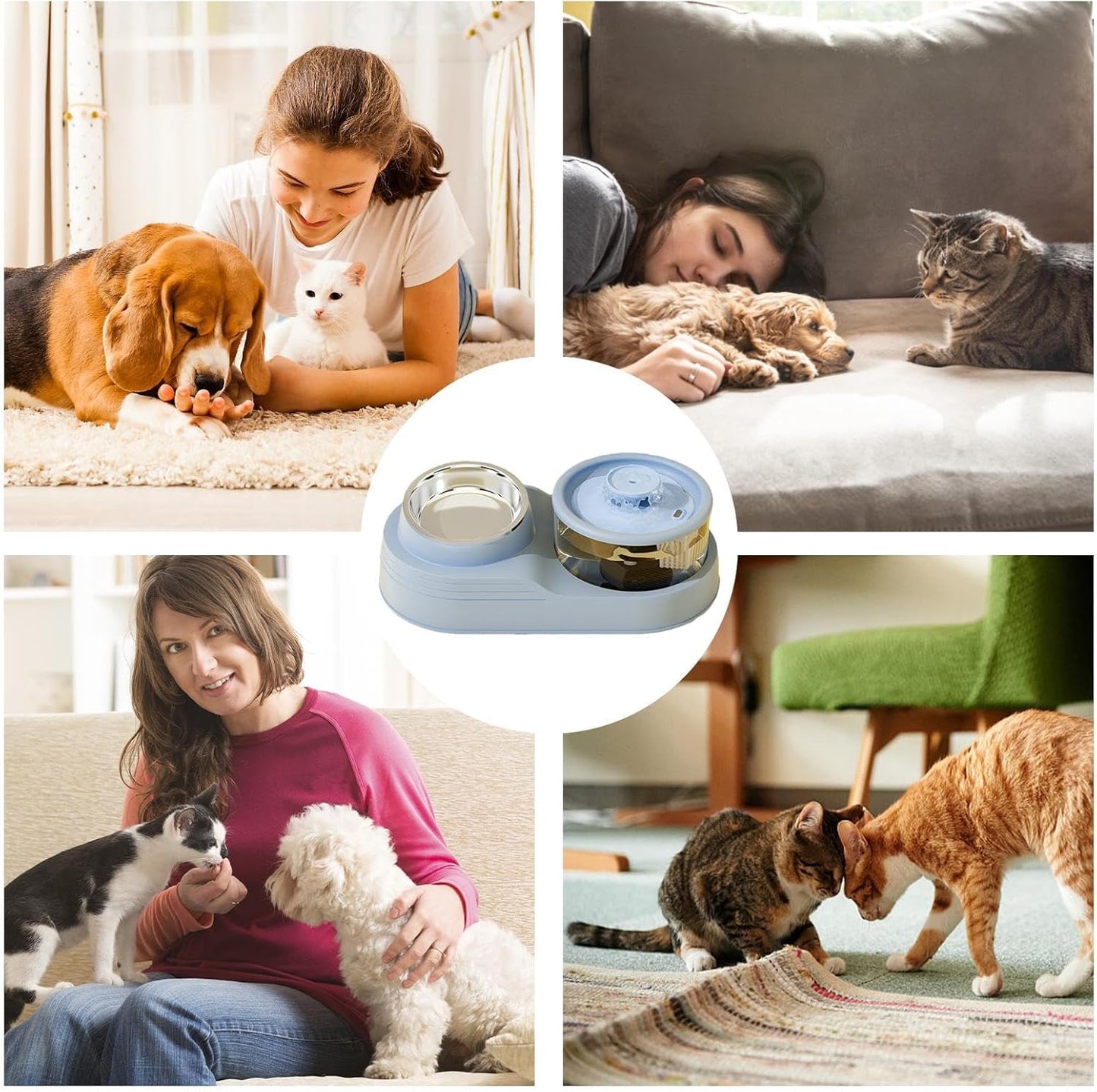Automatic Cat Feeder,Cat Feeding Station | Anti Slip Base, Removable Pet Feeding and Watering Supplies for Cattery Management