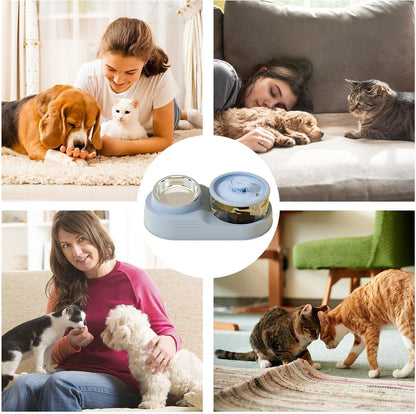 Automatic Cat Feeder,Cat Feeding Station | Anti Slip Base, Removable Pet Feeding and Watering Supplies for Cattery Management