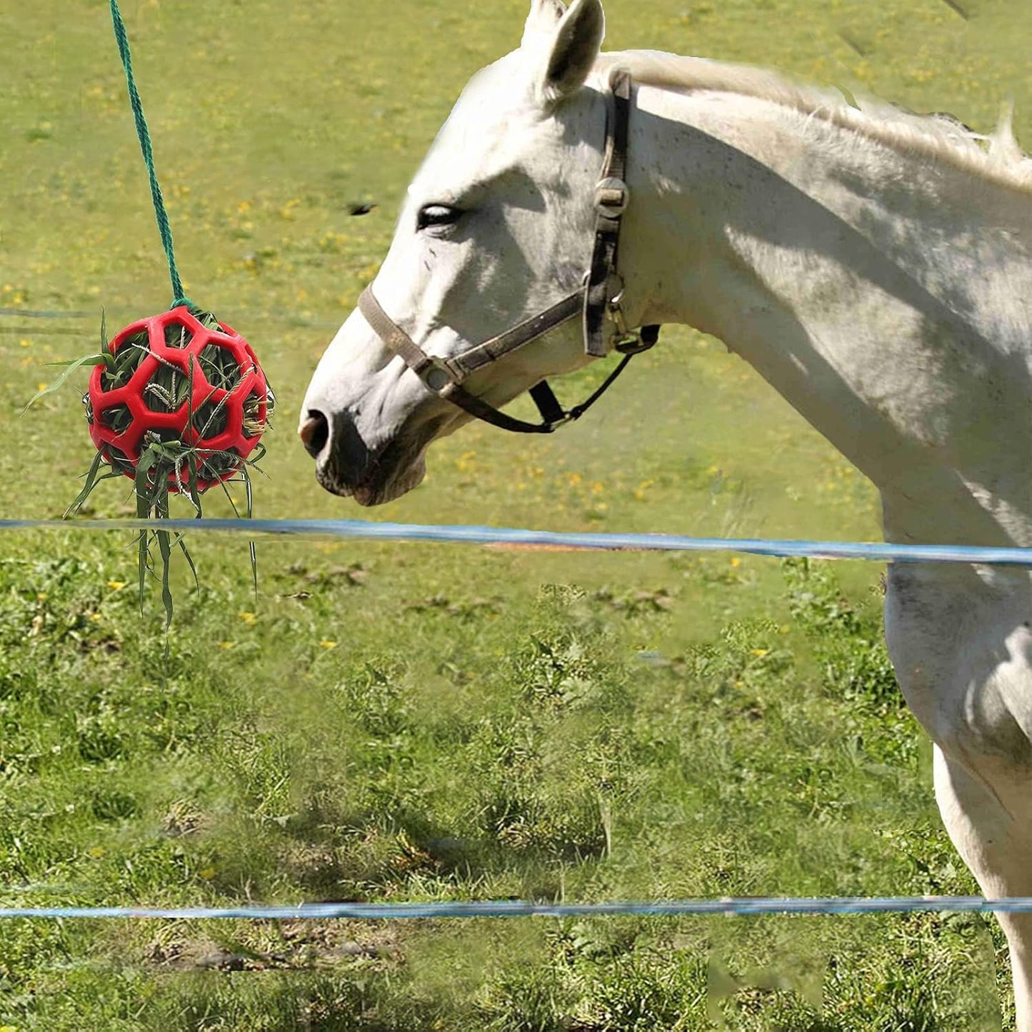 Besimple 2 Pack Horse Treat Ball Hay Feeder Toy, Goat Feeder Ball Hanging Feeding Toy for Horse Goat Sheep Relieve Stress(Red)