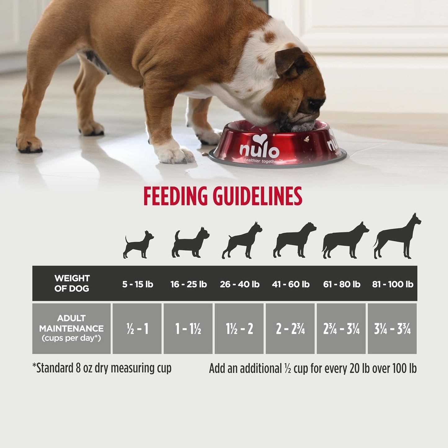 FS Senior Dog GF Trout 26LB