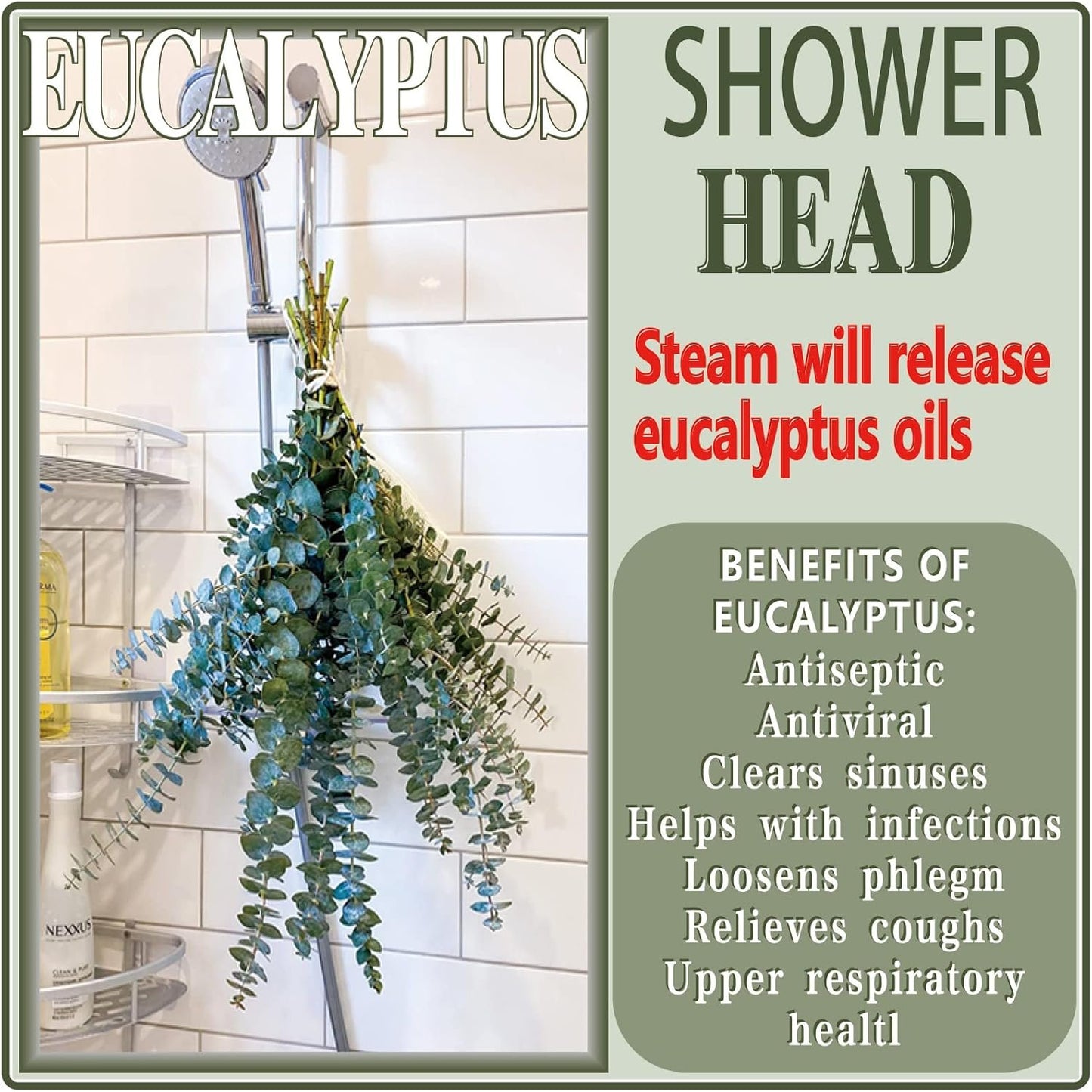 20 Pcs Preserved Dried Eucalyptus Stems, 17" Natural Fresh Eucalyptus Bundles for Shower, Real Plant for Vase Filler, Dried Flowers Arrangement, Home Decor