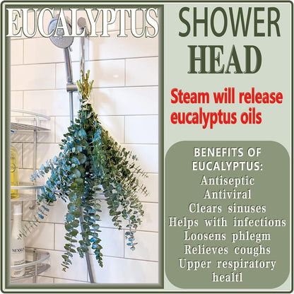 20 Pcs Preserved Dried Eucalyptus Stems, 17" Natural Fresh Eucalyptus Bundles for Shower, Real Plant for Vase Filler, Dried Flowers Arrangement, Home Decor