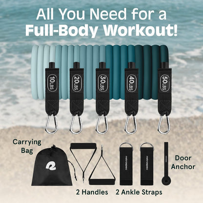 Retrospec Train Resistance Bands Set (5pc) Workout Bands w/Handles, Door Anchor, Carry Bag for Women & Men