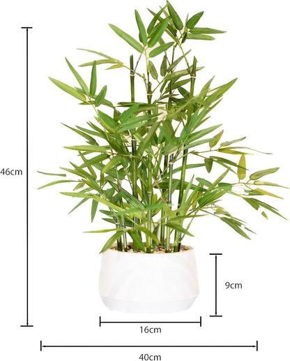 365 Blooming Decor 18" White Potted Faux Bamboo Plant- Luxury Artificial Bamboo Tree in White Pot for Home, Office, Kitchen, Counter Top, Indoor Decor, Money Tree, Lucky Bamboo Tree