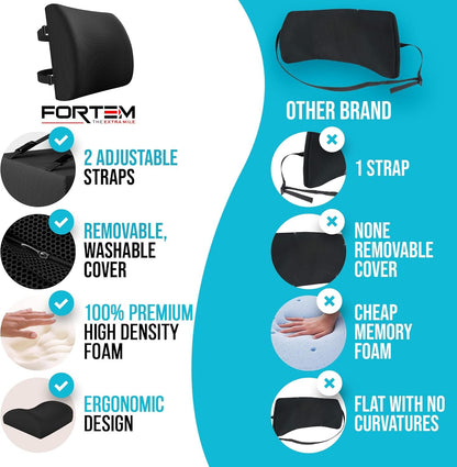 FORTEM Lumbar Support Office Chair, Lumbar Support Pillow for Car, Office Chair Back Support, Lumbar Pillow for Desk Chair, Memory Foam Back Cushion, Washable Cover (Mesh, Black)