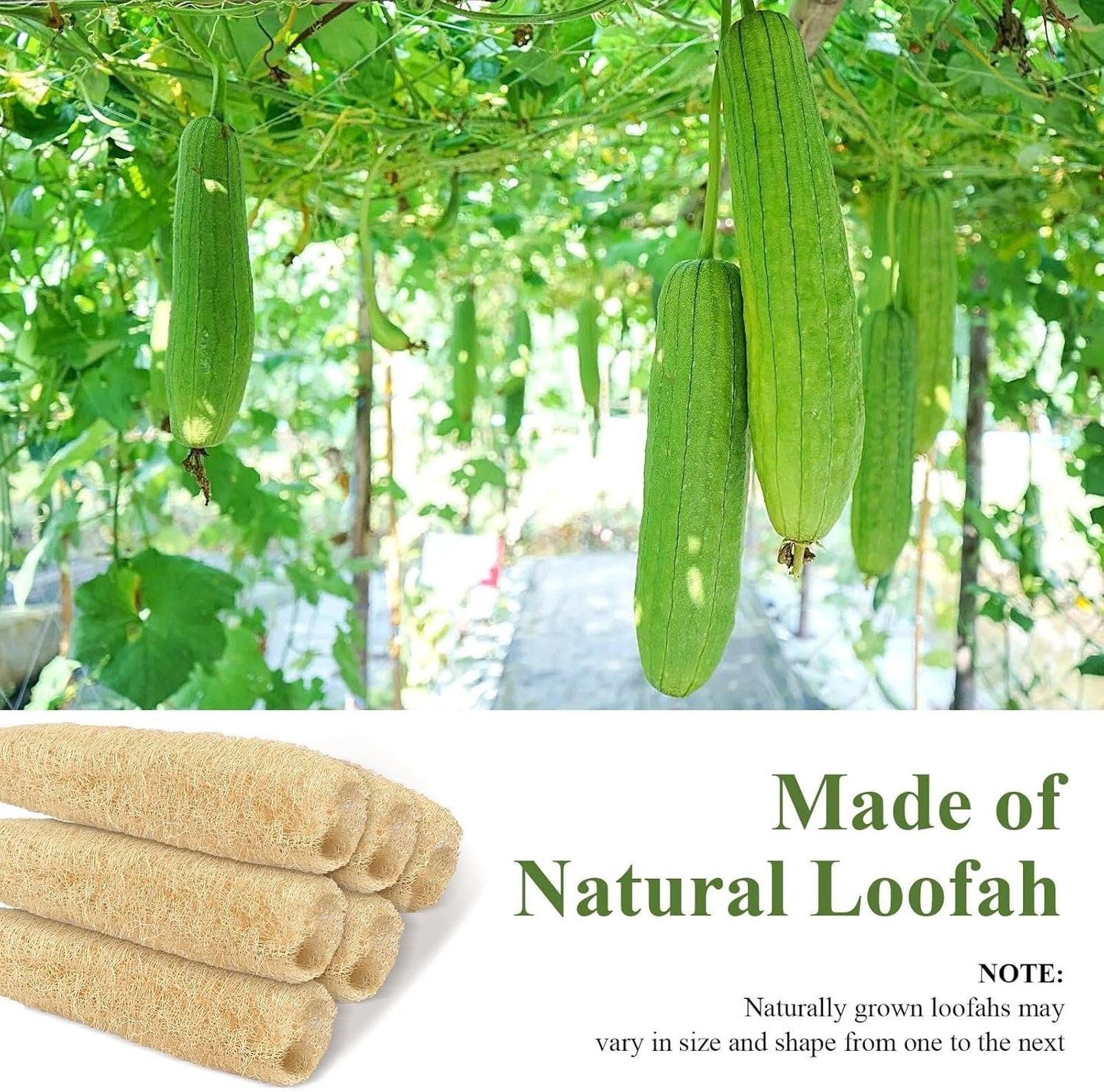 Supkiir 6 Pack Natural Loofah Sponges, Organic Luffa Bath Shower Loofah Sponge, Easy Foaming Exfoliating Body Skin Scrubber Sponges for Shower Kitchen Cleaning Wash