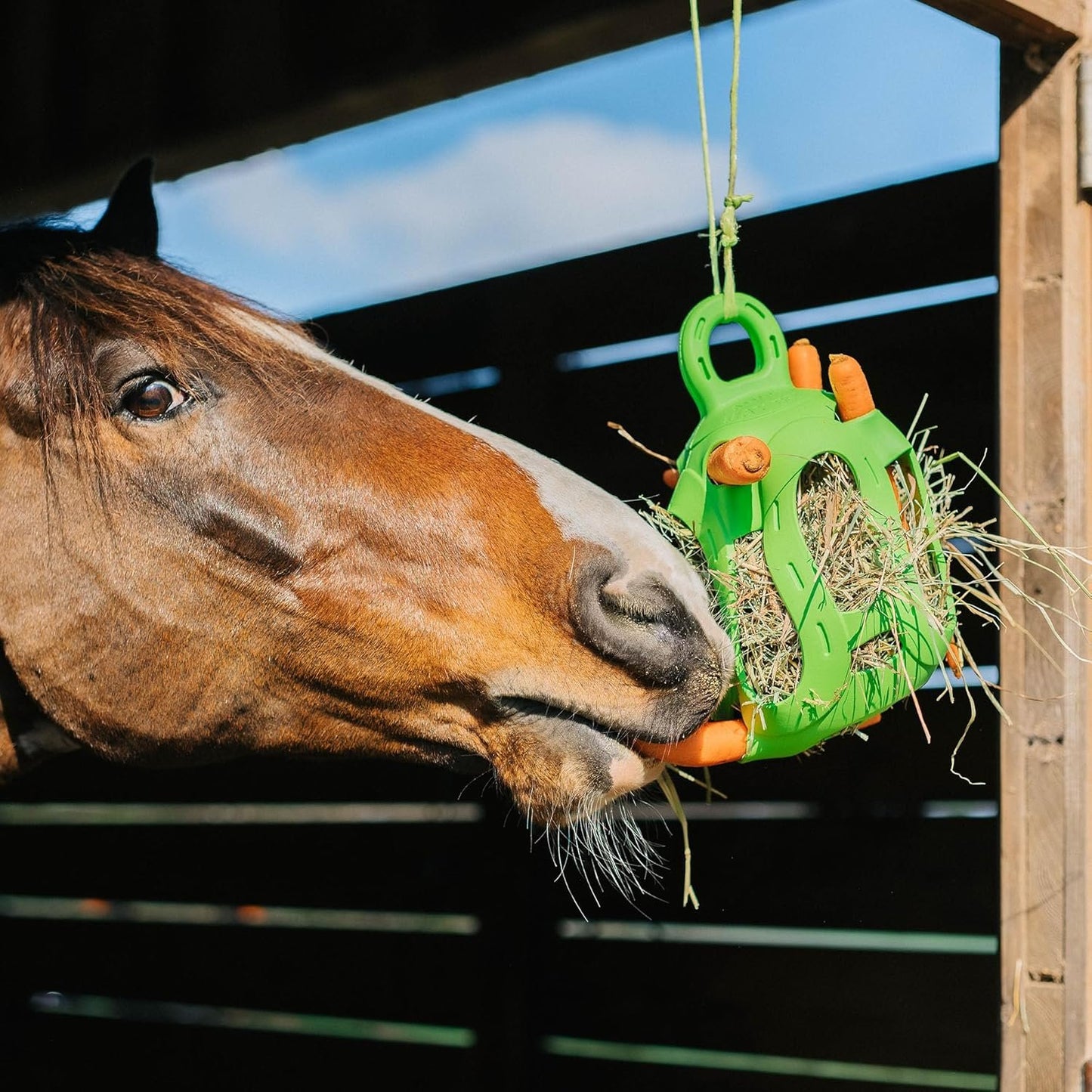 Horsemen's Pride Jolly Hay Ball Stall Toy for Horses, Green