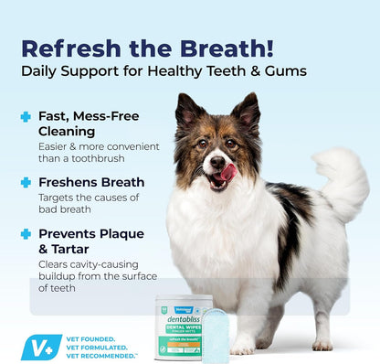 Vetnique Dentabliss - Dog Teeth Cleaning Finger Mitt Dental Wipe - Dog Plaque and Tartar Remover with Brushing Beads - Convenient Dog Teeth Wipes (Chicken)