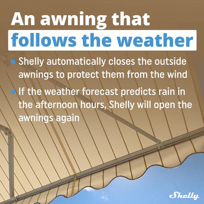 Shelly Pro 2PM | WiFi, LAN & Bluetooth 2-Channel Smart Relay Switch with Power Measurement | Home & Building Automation | Compatible with Alexa & Google Home | iOS Android App | Remote Device Control