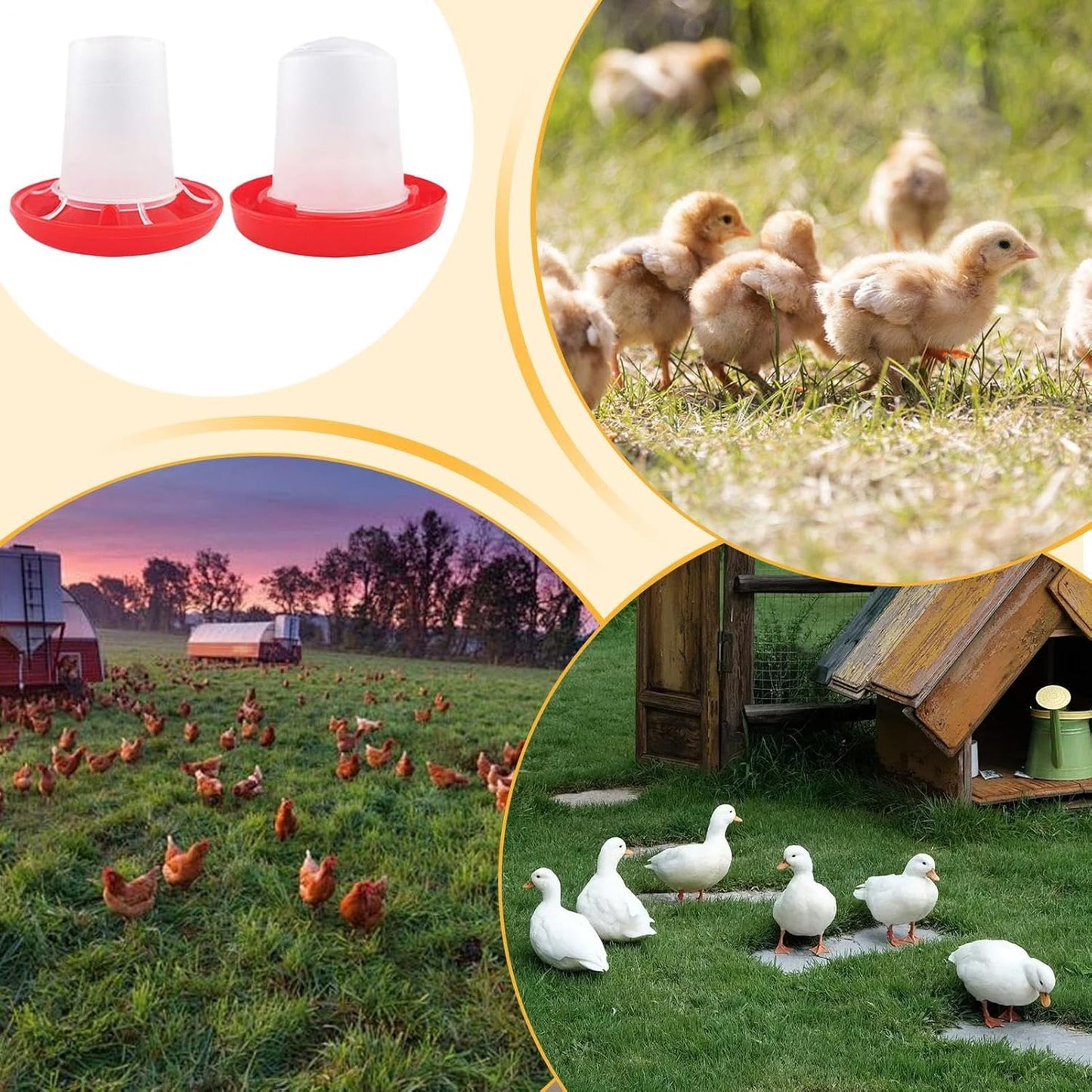Chicken Feeder and Waterer Set | Automatic Chicken Feeders - Poultry Feeding & Watering Supplies for Farm Pet Outdoor Baby Barn Family Livestock Friends