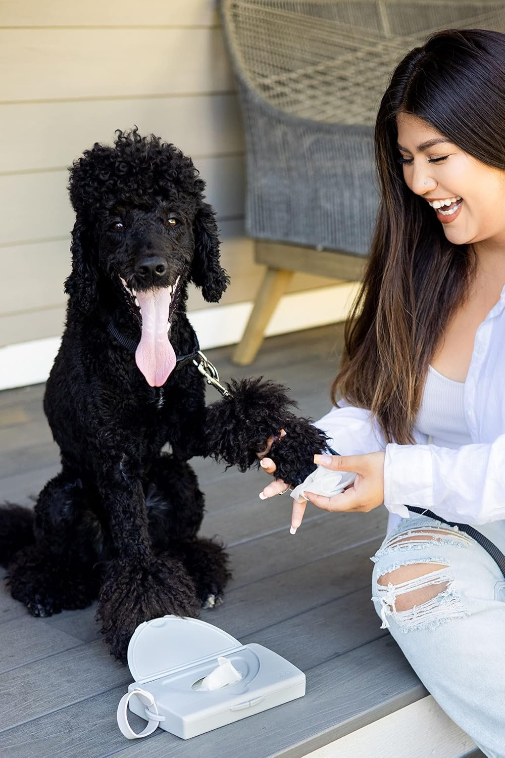 Ubbi On-The-Go Pet Wipes Dispenser, Grooming Wet Wipes Container for Dogs and Cats, Moisture Locking Wipes Dispenser for Pet Home and Travel, Gray