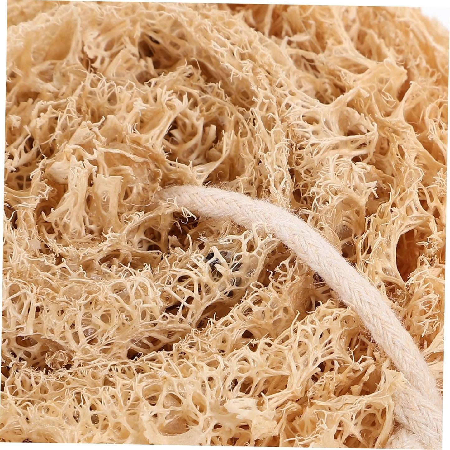 SAFIGLE 1set Natural Loofah Dish Sponge Soft Lightweight Multi Functional Kitchen Scrubber for 4pcs